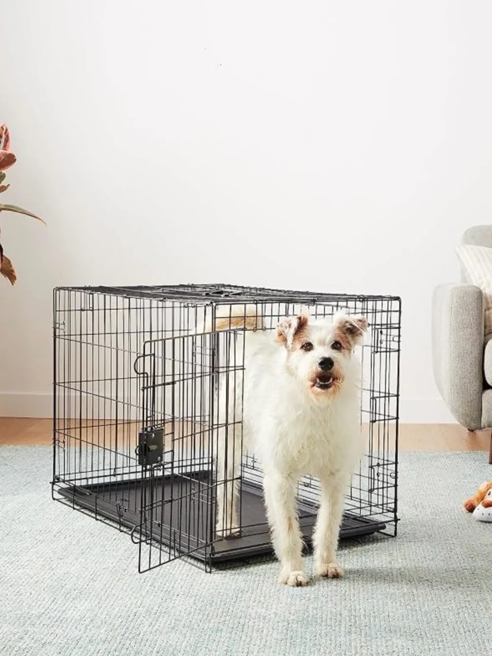 Foldable Black Wire Dog Crate with Removable Tray